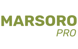 pro.marsoro.com